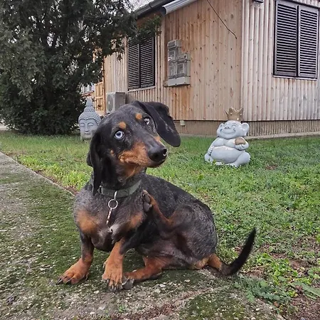 Estike Kerti Kuckó Berekfürdő